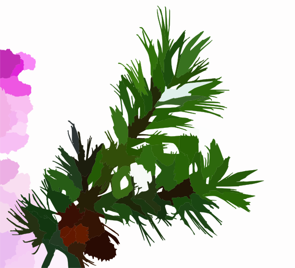 Pine Branch Clip Art At Clker Com   Vector Clip Art Online Royalty