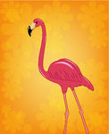 Beautiful Pink Flamingo On A Flower Orange Background