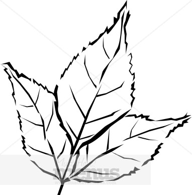 Fall Leaves Clipart Black And White Fall Leaves Clipart Black And