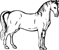 Free Horse Clipart Graphics  Unicorn Pegasus Arabian Mule Donkey