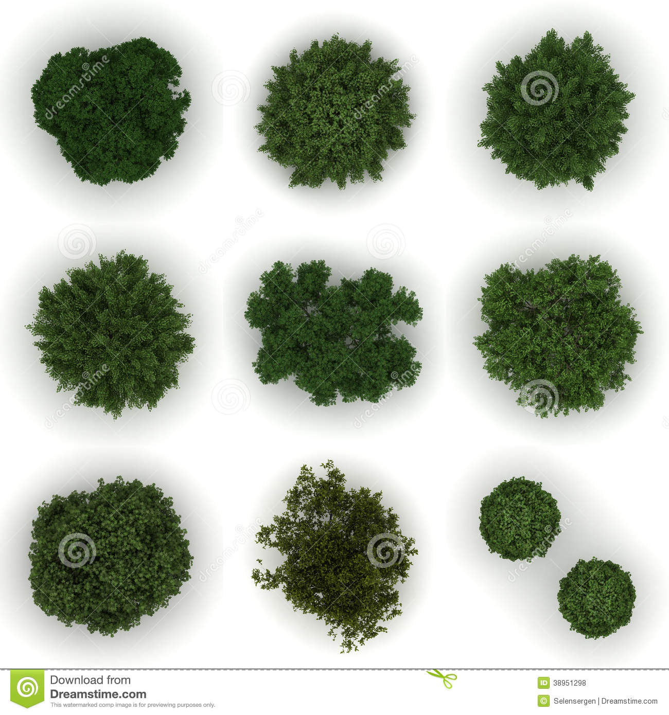 Trees From Top View Stock Illustration   Image  38951298