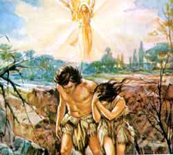 Adam   Eve Betrayed God  The Fall Of Mankind   Genesis Chapter 3