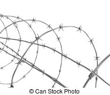 Barbed Wire Closeup   Barbed Wire Isolated On White Closeup   