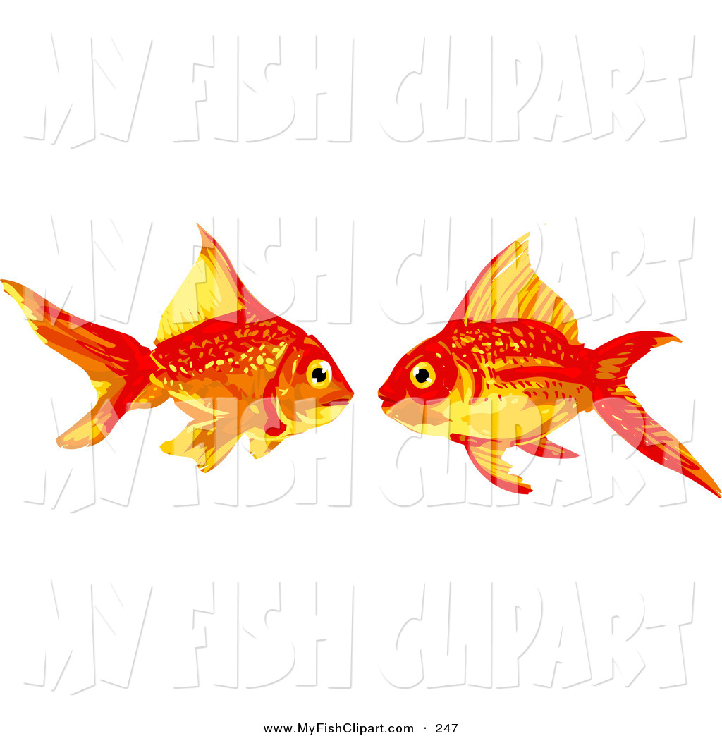 Goldfish Clipa   