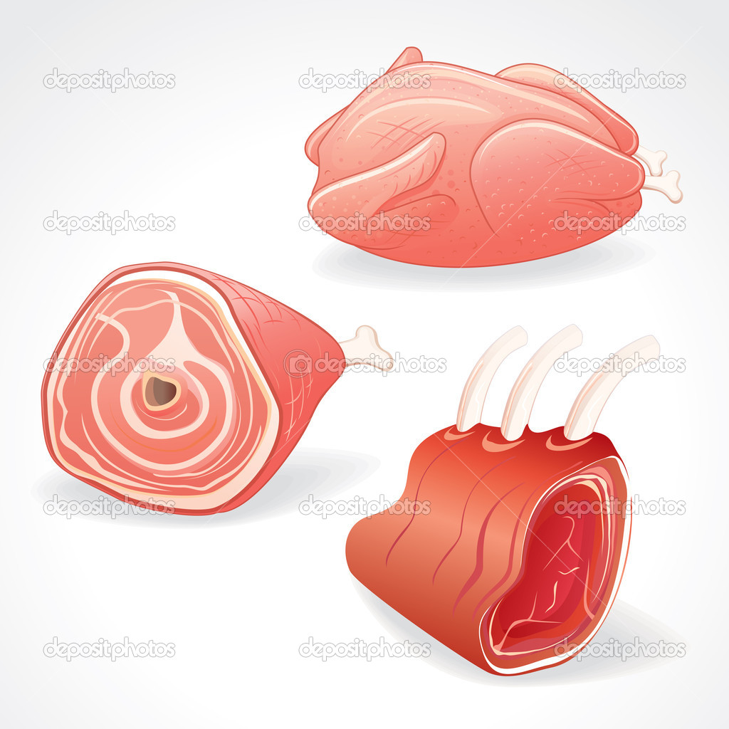 Raw Meat Gammon And Chicken  Vector Clipart   Stock Vector