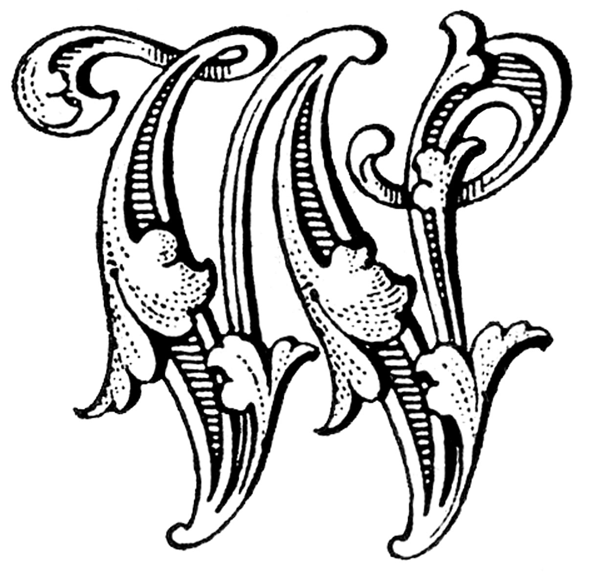 The Letter W   This Ornate Image Comes From An Antique Monogram Book
