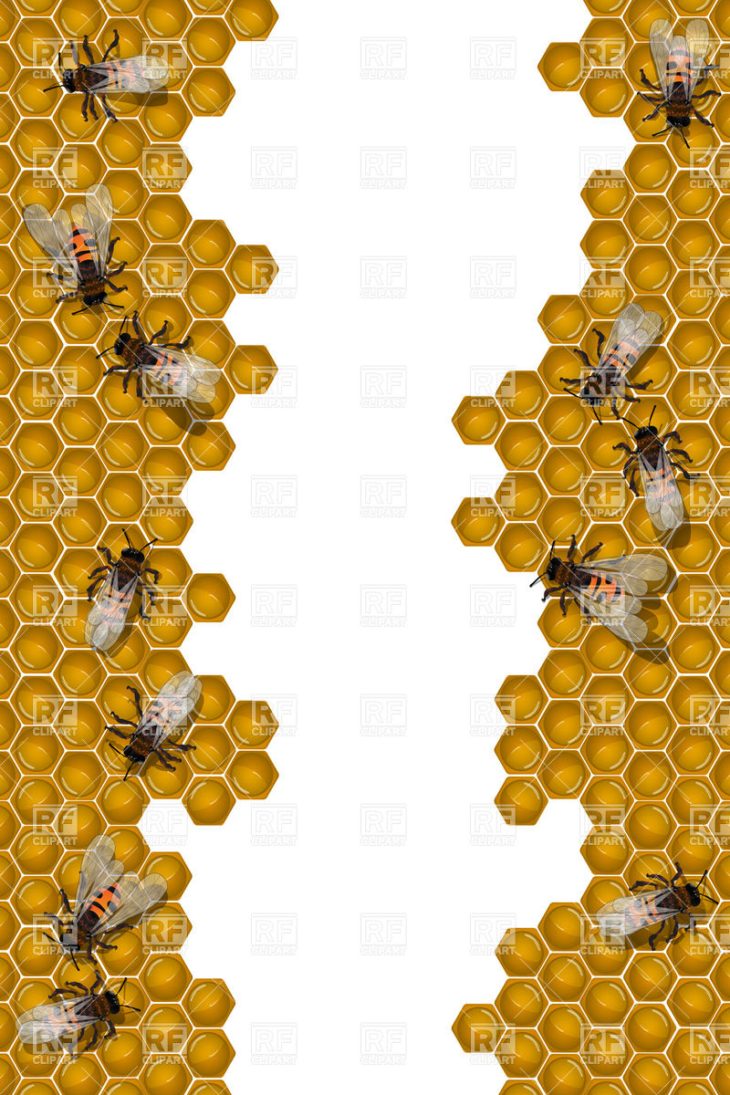Bee Border Clip Art