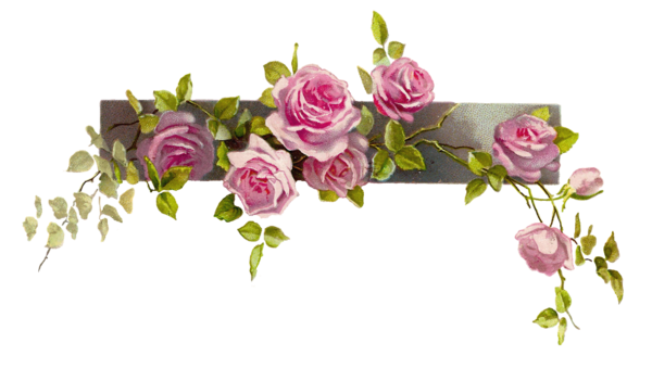 Border Flower Rose Line   Free Images At Clker Com   Vector Clip Art