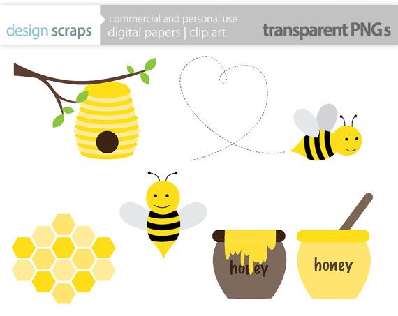 Clip Art Graphics Bumble Bee Honey Bee Hive Honeycomb Digital Clipart