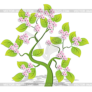 Flowering Tree   Vector Clipart