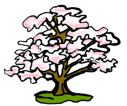 Full Version Of Pink Flowering Dogwood Tree Clipart