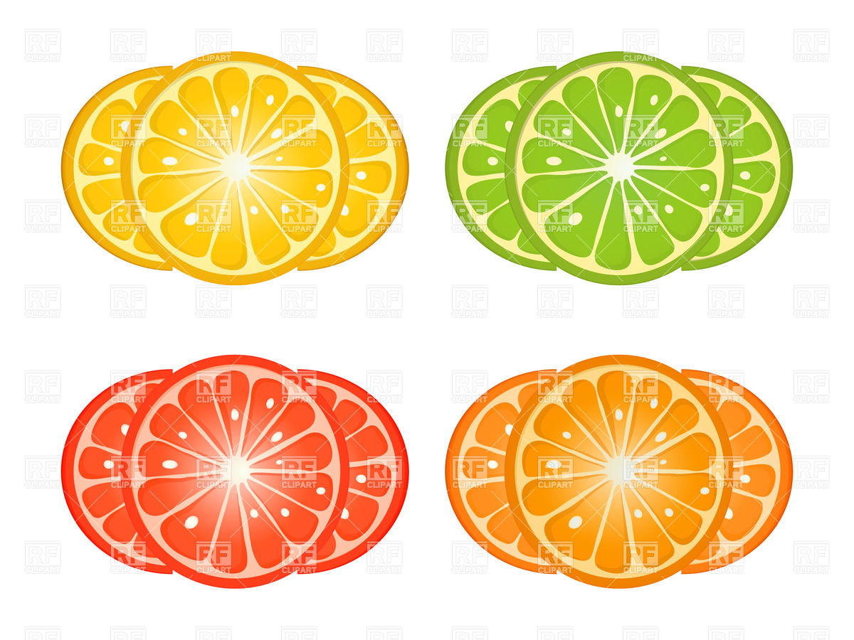     Lemon Grapefruit Lime Slices Download Royalty Free Vector Clipart