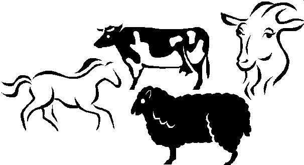 Livestock Clipart Farmanimals Jpg