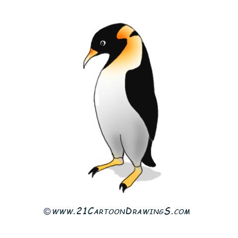 Penguin Clip Art Images Penguin Stock Photos Clipart Penguin   Tattoo