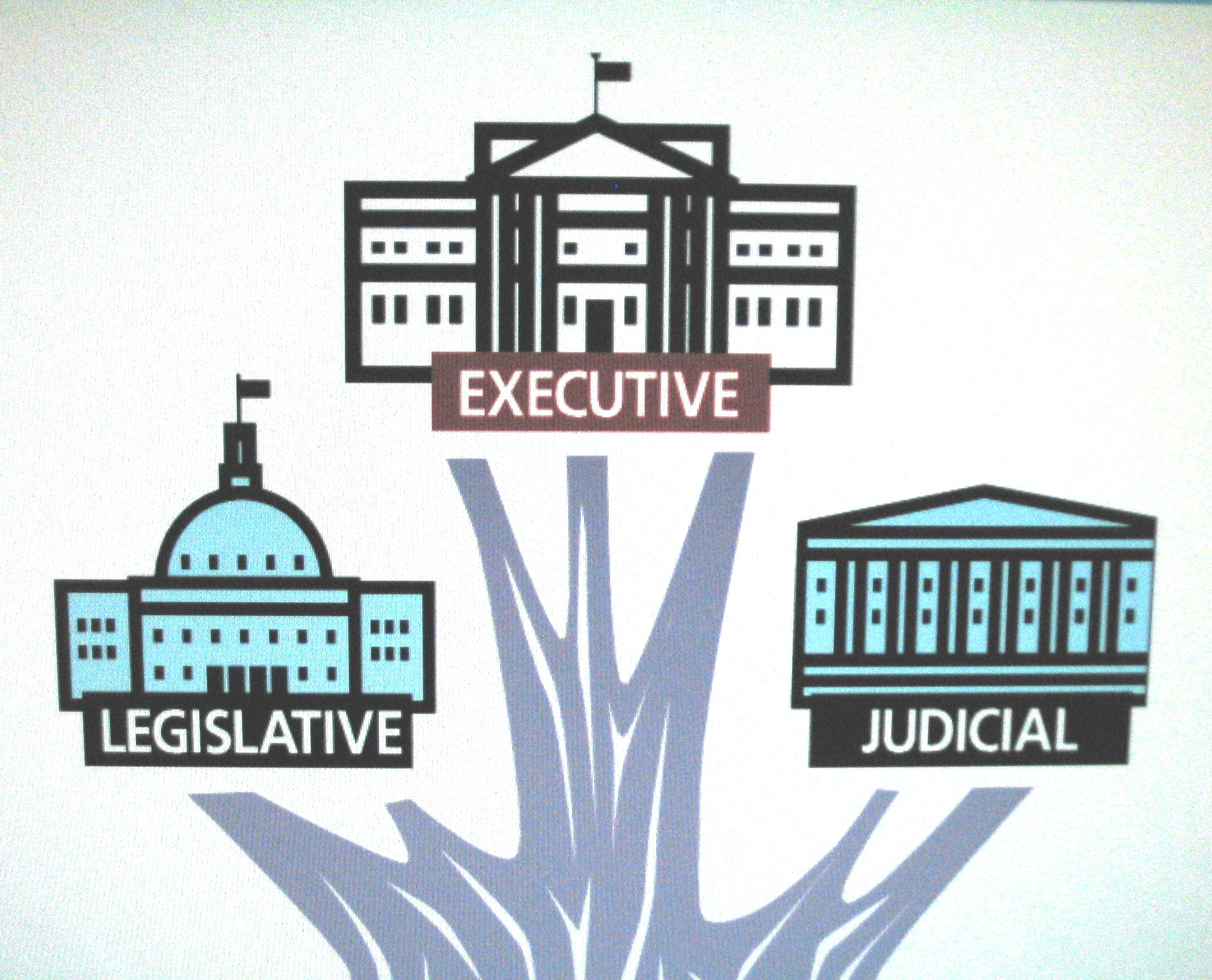 Photo  Illustration Of The Branches Of Government
