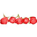 Red Rose Page Border Peirce Clipart Has A Page