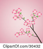 Royalty Free  Rf  Clipart Of Dogwood Flowers Illustrations Vector
