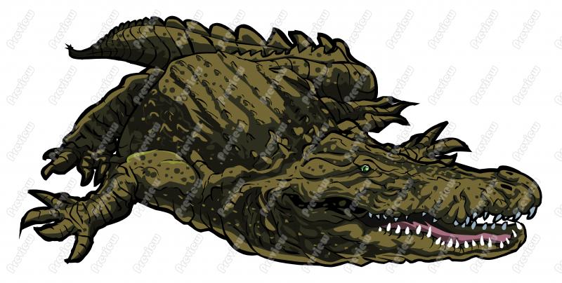Salt Water Crocodile Character Clip Art   Royalty Free Clipart