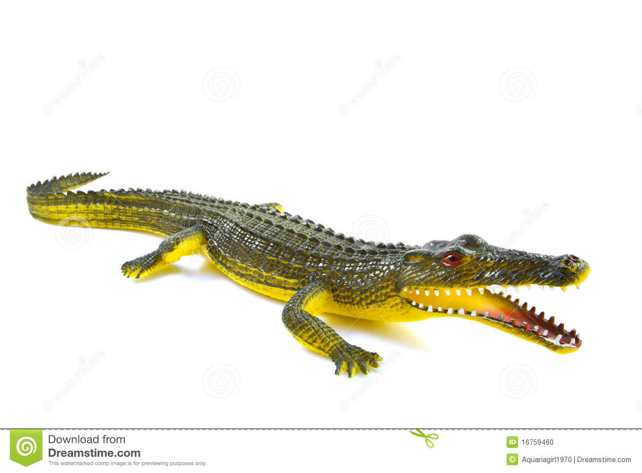 Scary Crocodile Head Stock Photo   Image  16759460