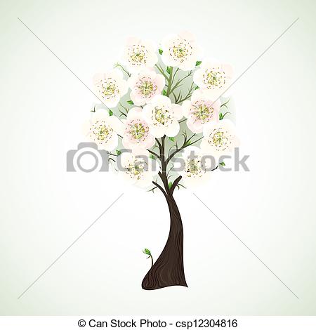 Season Flowering Tree With Light Flowers Csp12304816   Search Clipart