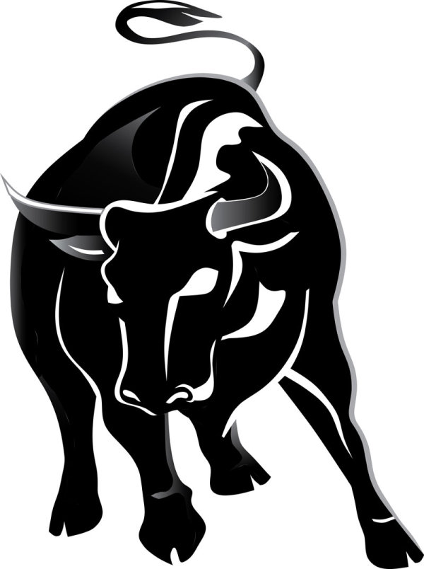 Set Of Angry Bulls Design Vector 04   Vector Animal Free Download