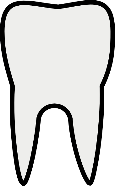 Tooth Molar Clip Art At Clker Com   Vector Clip Art Online Royalty