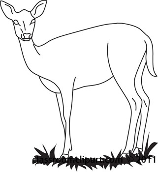 Animals   Deer Outline04 112   Classroom Clipart
