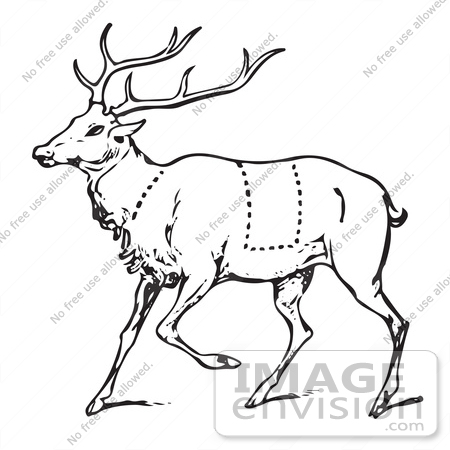 Deer Clipart Black And White Black And Whit Deer Clipart