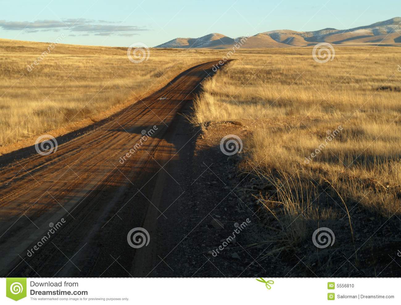 Dirt Road Through Grassy Plains Stock Photo   Image  5556810
