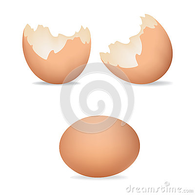 Eggs Shells  Cracked Eggs  Brown Realistic Egg Shell Icon On White