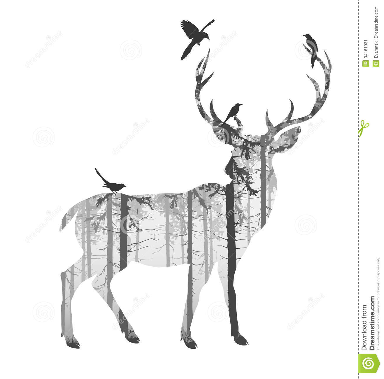 Of A Deer With Pine Forest And Birds Black And White Colors White    