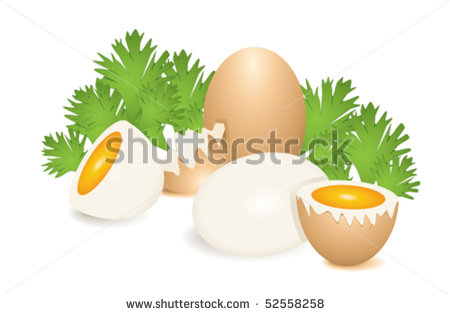       Yellow And White Eggs  Cracked Eggs  Chicken Eggs   Stock Vector