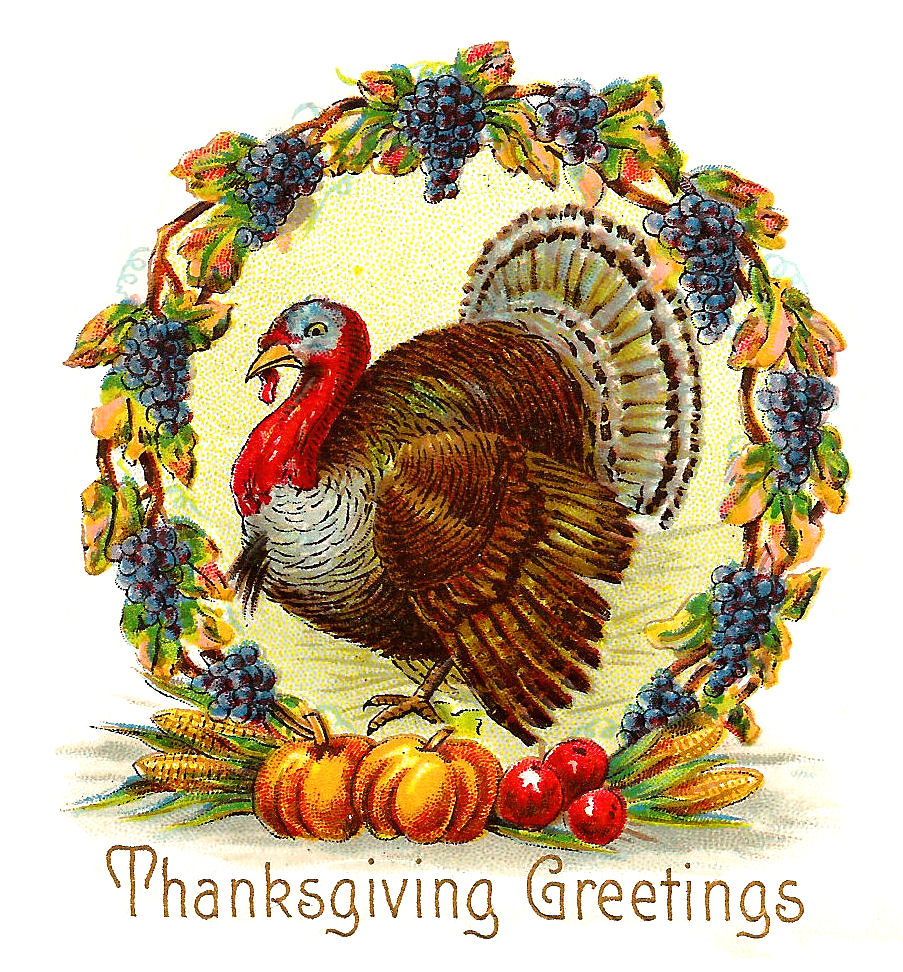 Antique Images  Free Thanksgiving Day Graphic  Thanksgiving Turkey