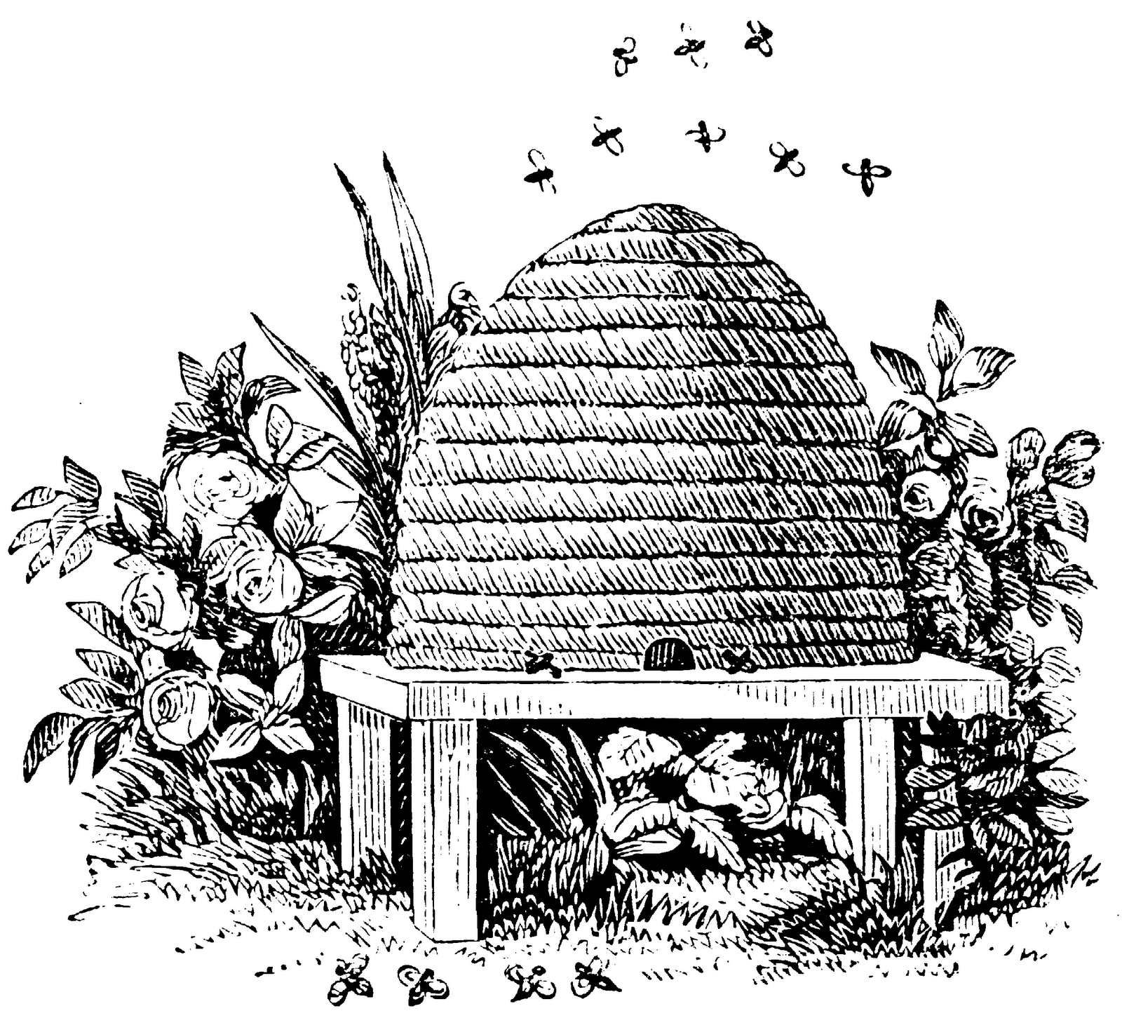 Ancient Hackney  Beehives In Hackney   Symbolism