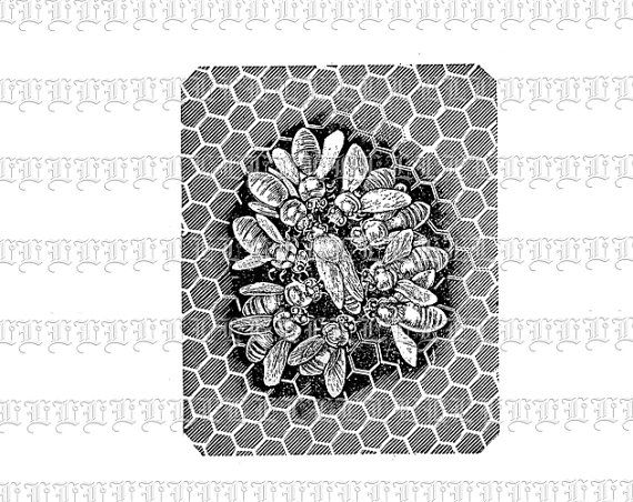Antique Image Bee Swarm In Hive Beehive Vintage Clip Art Illustrations