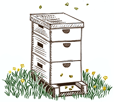 Bee Hive Placement