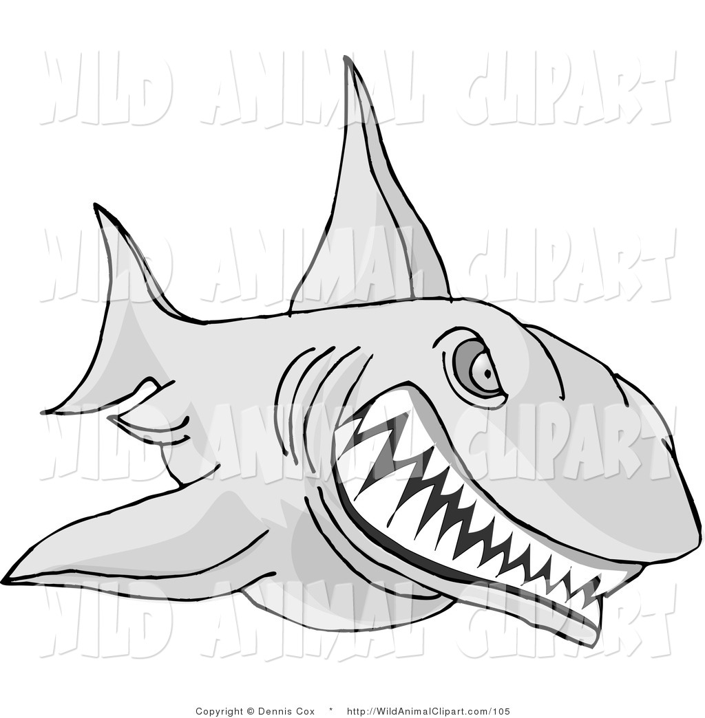 Clip Art Of An Aggressive Shark With Sharp Teeth Attacking Something