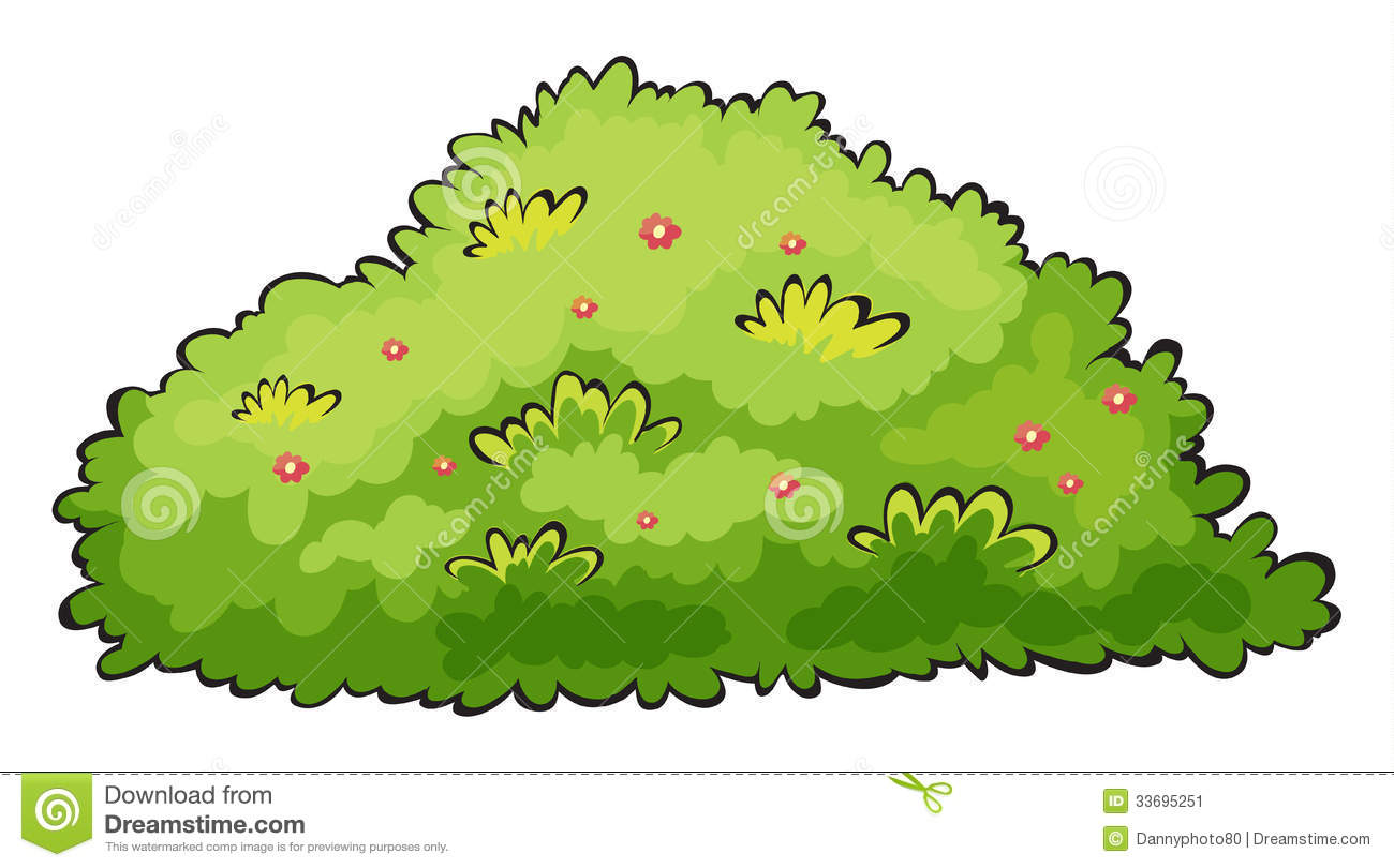 Displaying 20  Images For   Bush Clipart