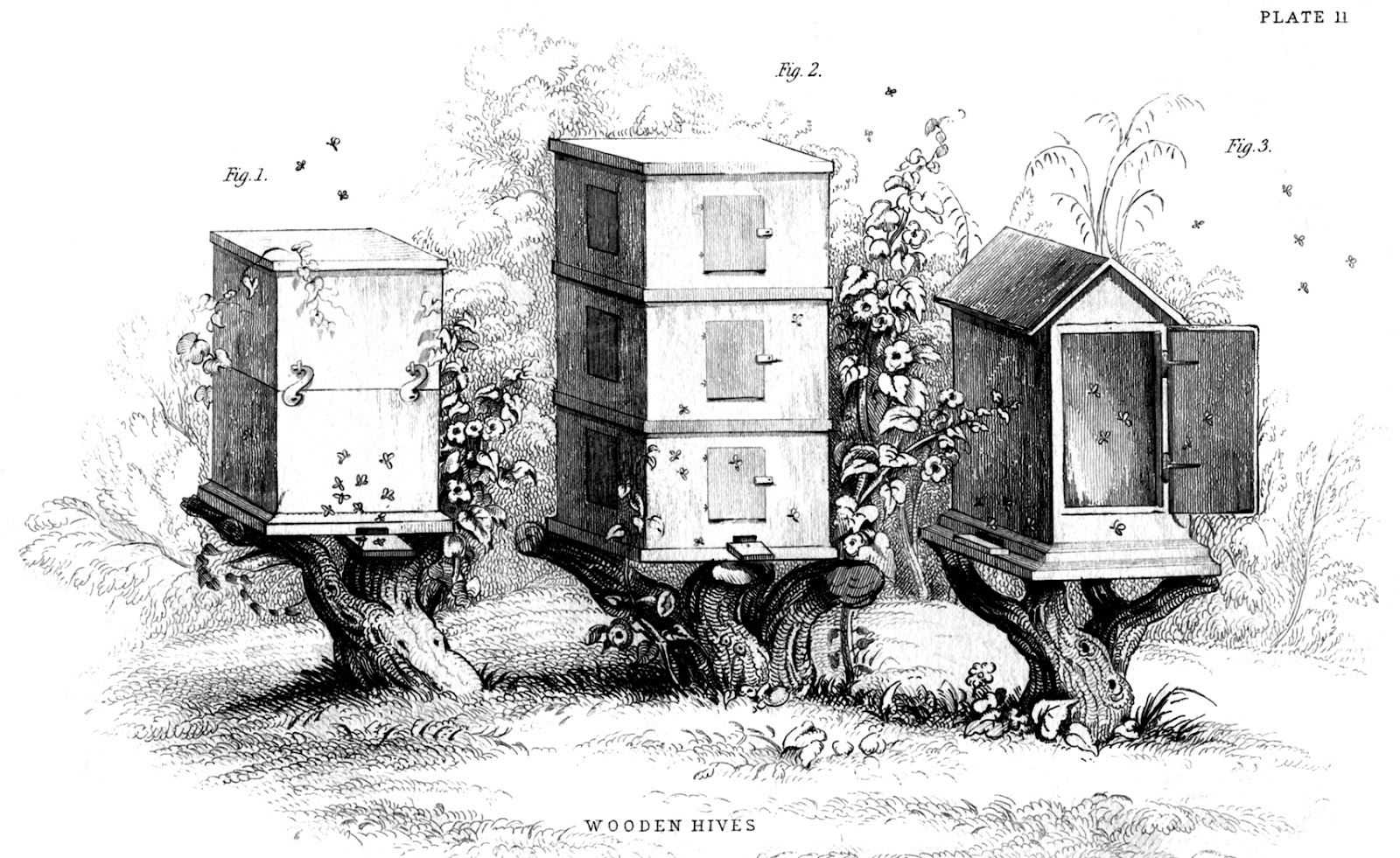 Instant Art Printable   Vintage Beehives   The Graphics Fairy