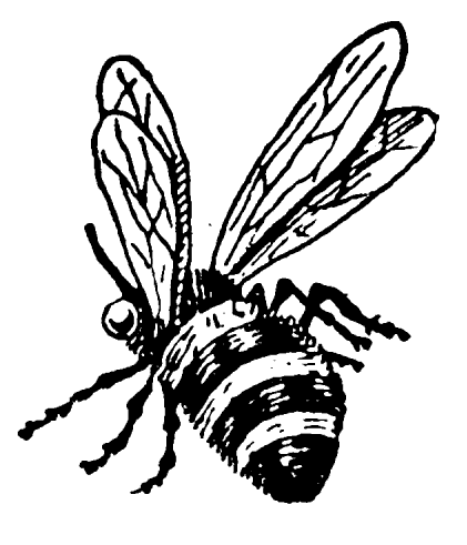 Vintage Bee Clip Art   Cliparts Co