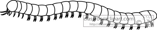 Animals   Millipedes Outline 630   Classroom Clipart