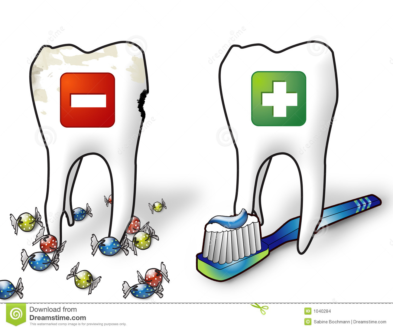 Healthy Teeth Stock Images   Image  1040284