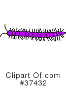 Millipede Clipart  1   Royalty Free  Rf  Stock Illustrations   Vector