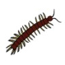 Science Resources Co Uk   Free Animal Clipart