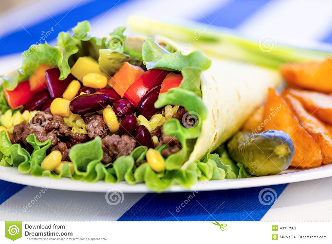 Stock Photo  Mexican Burrito With Minced Beef Meat