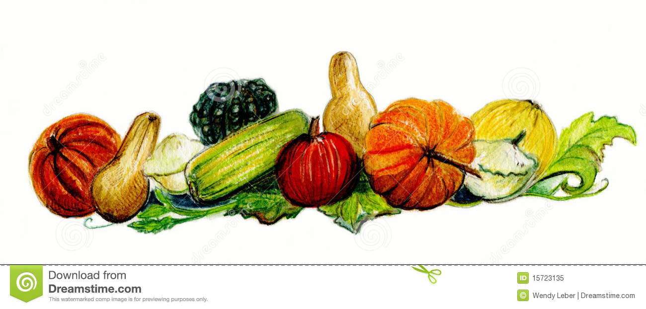 Autumn Harvest Pumpkins And Squash  Royalty Free Stock Photo   Image    
