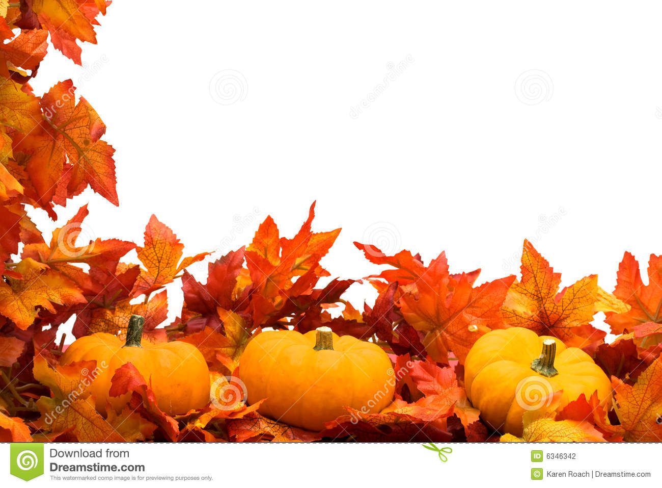 Fall Leaves With Pumpkin On White Background Fall Harvest