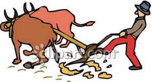 Farmer Plowing A Field With Oxen   Royalty Free Clipart Picture