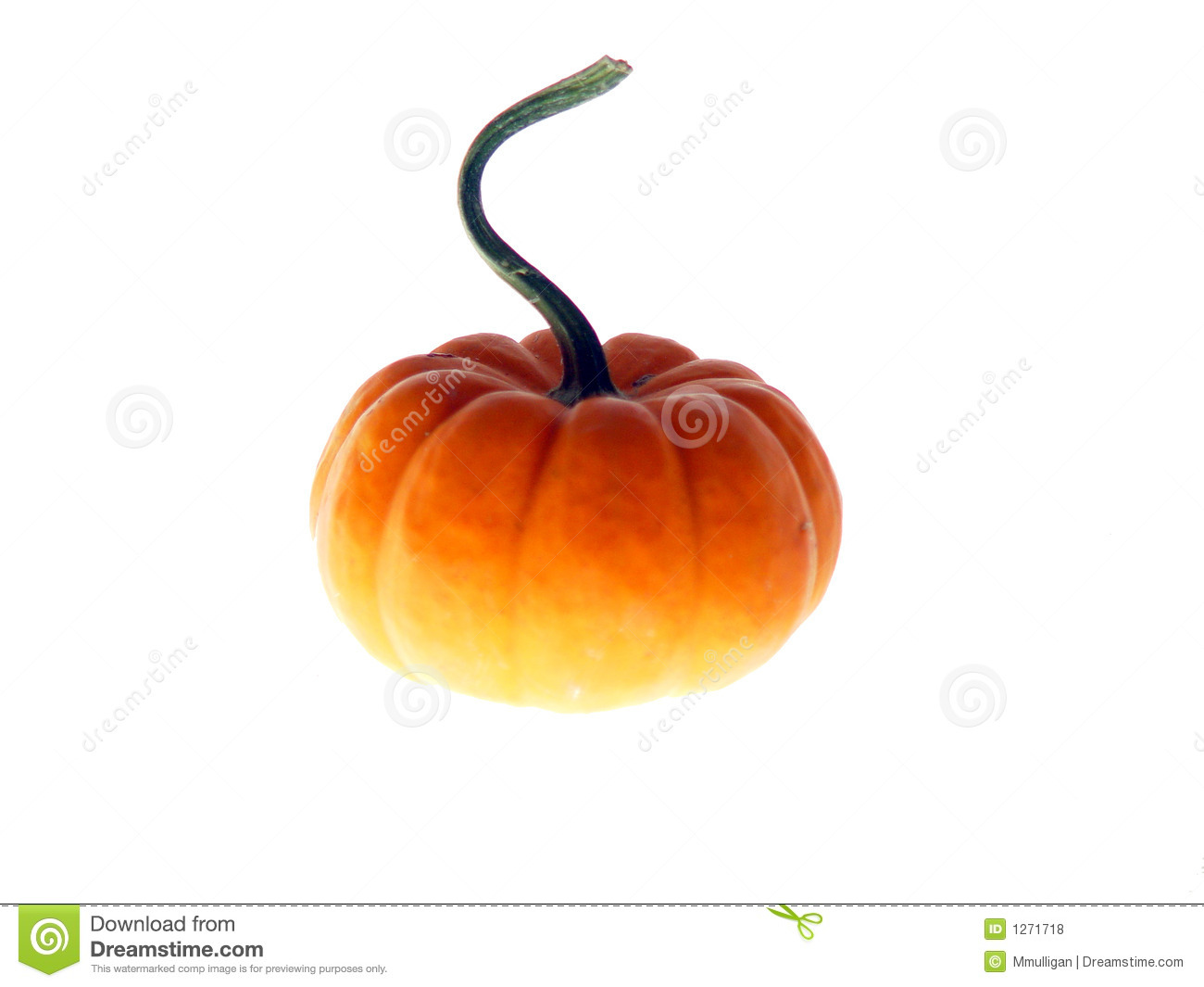 Harvest Pumpkin Royalty Free Stock Photos   Image  1271718