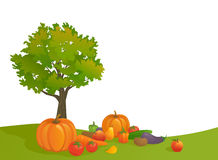 Harvest Time Pumpkin Stock Vectors Illustrations   Clipart